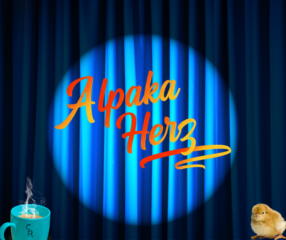 Alpakaherz Titel in Spotlicht
